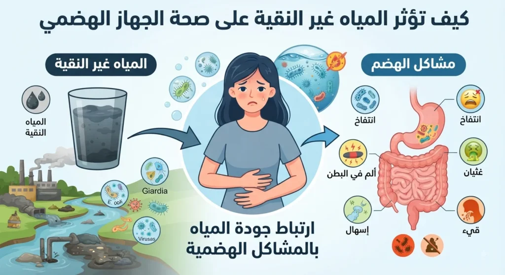كيف تؤثر المياه غير النقية على صحة الجهاز الهضمي؟